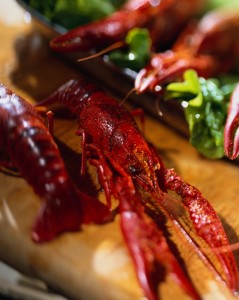 Lobsters